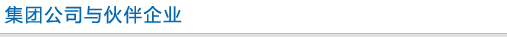 集团公司与伙伴企业